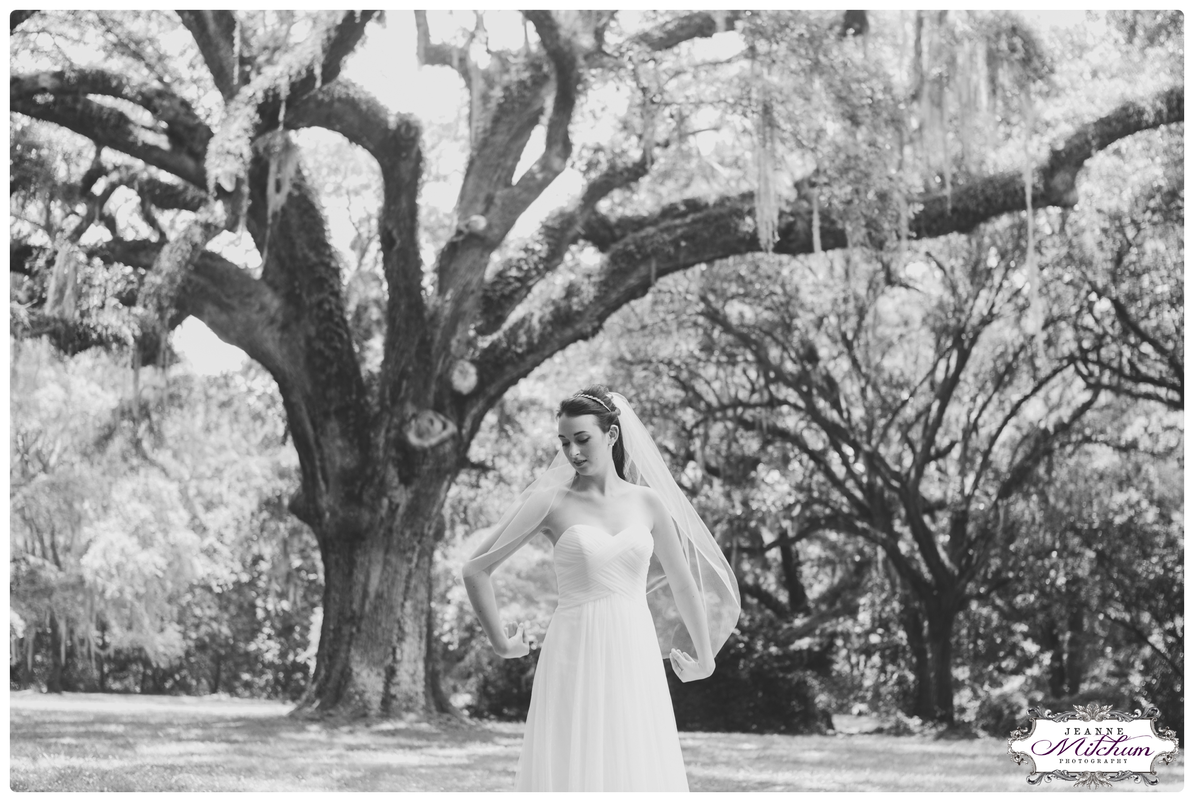 Charleston Wedding Photographer_Charleston Photographer_0789.jpg